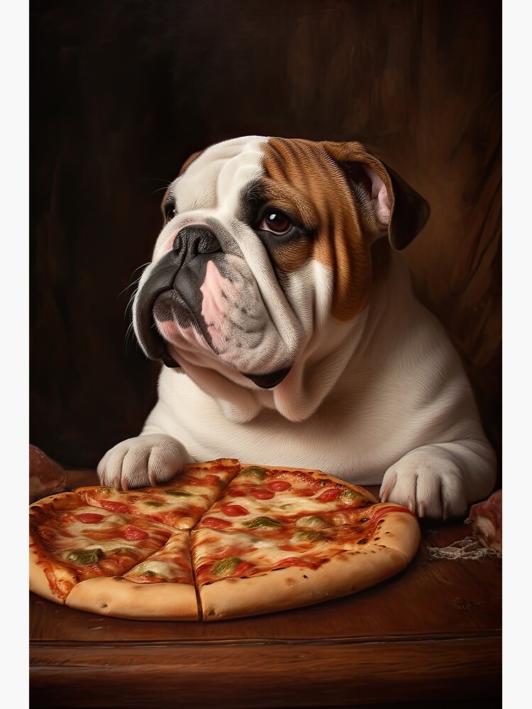 French bulldog 2024 eating pizza