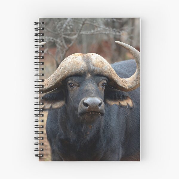Item preview, African Buffalo designed and sold by YussefRafik.