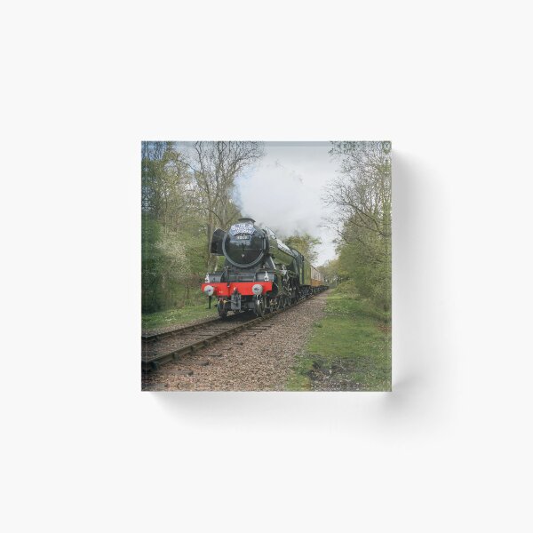 Item preview, The Flying Scotsman designed and sold by TMcG72.