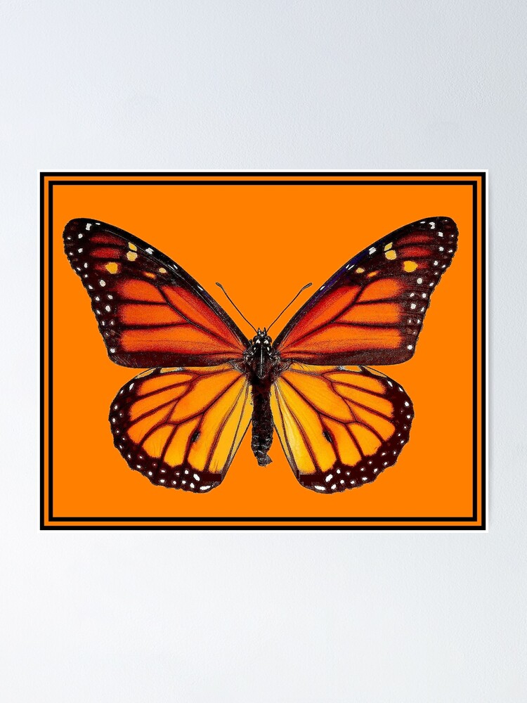Monarch Butterfly Art Print By Juan Bosco Fine Art America
