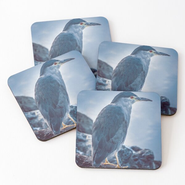 Item preview, Patagonian Riverbird, Ushuaia, Argentina designed and sold by DFLC Prints.