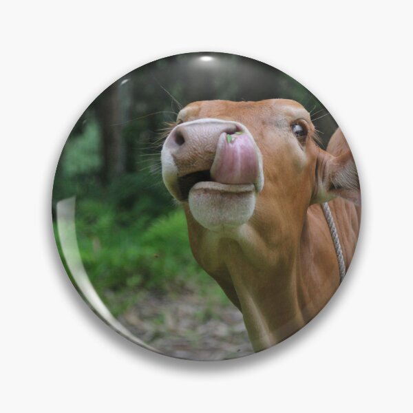 Item preview, Cow cleaning its nose designed and sold by iam01110011.
