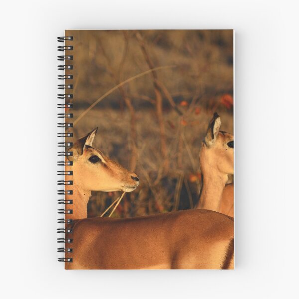 Item preview, Impalas designed and sold by YussefRafik.