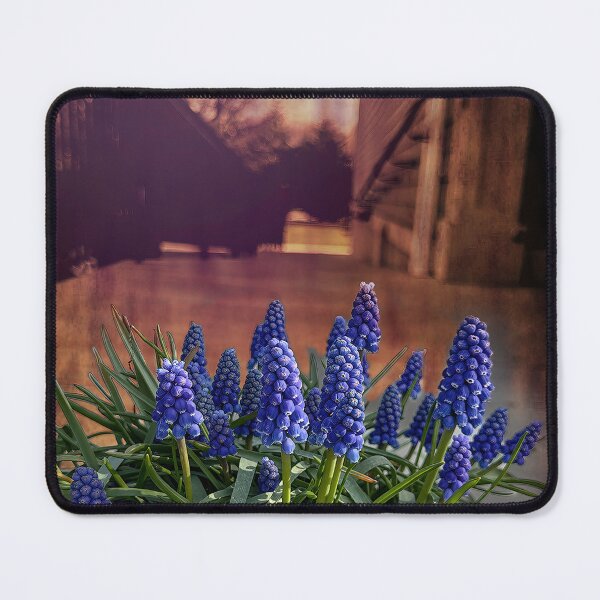 Item preview, Hyacinth Bucket designed and sold by Steve Walser.