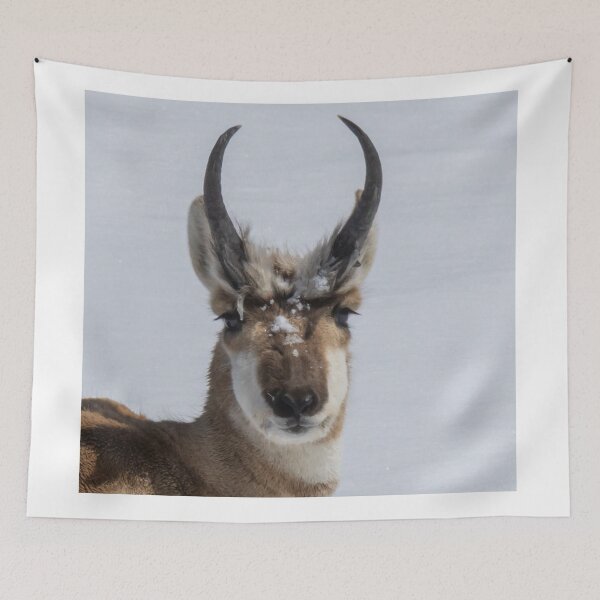 Item preview, Spring In Wyoming designed and sold by FreelanceJim.