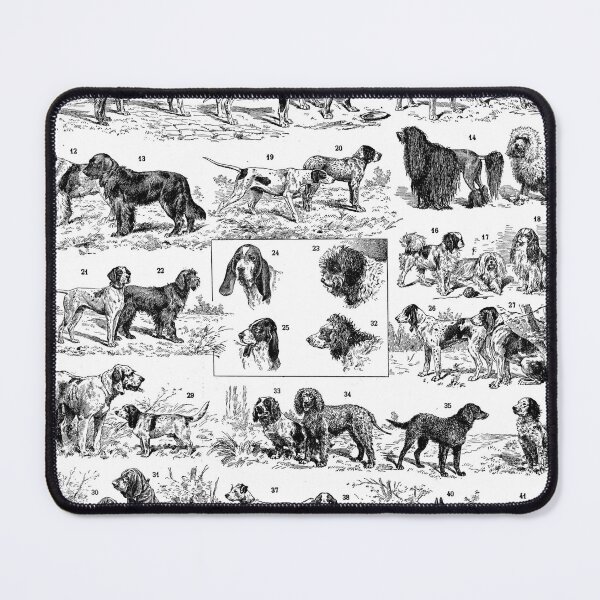 Item preview, Dogs (1932) - Larousse du XXe siècle designed and sold by SALON DES ARTS.