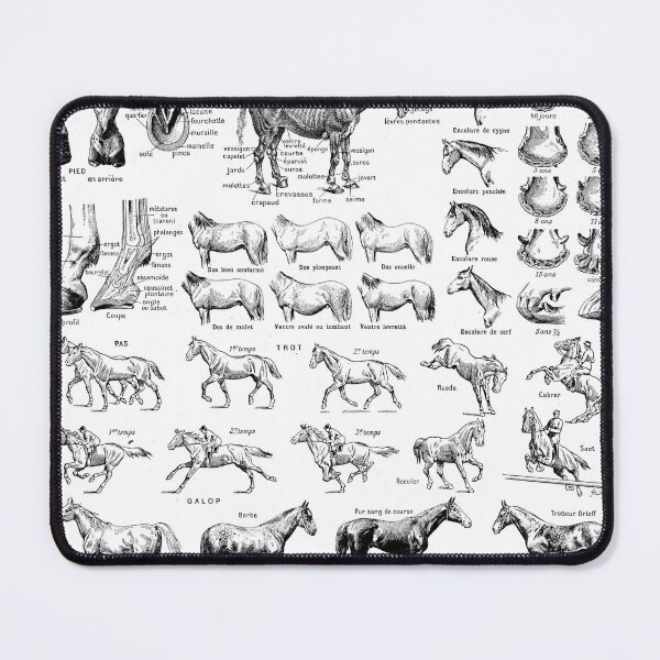 Item preview, Horses (1932) - Larousse du XXe siècle designed and sold by SALON DES ARTS.