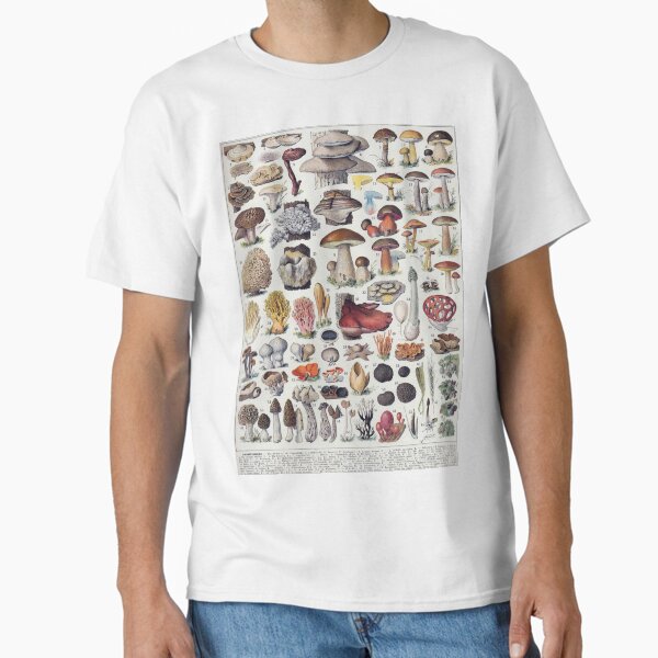 Item preview, Mushrooms (1932) - Larousse du XXe siècle designed and sold by SALON DES ARTS.