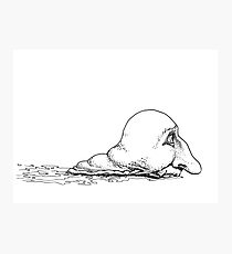 head Photographic Print