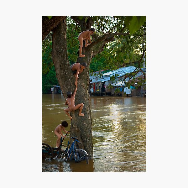 Aperçu de l'œuvre Tree Monkeys créée et vendue par Adrianne Yzerman.