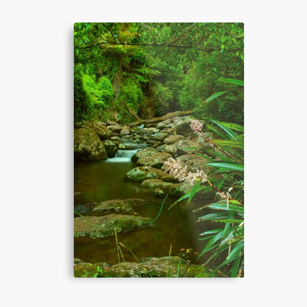 Food for the soul at Picnic Rock Metal Print