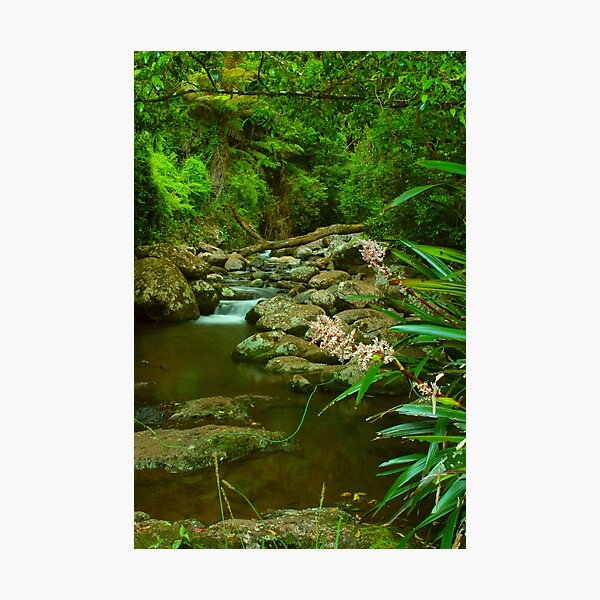 Food for the soul at Picnic Rock Photographic Print