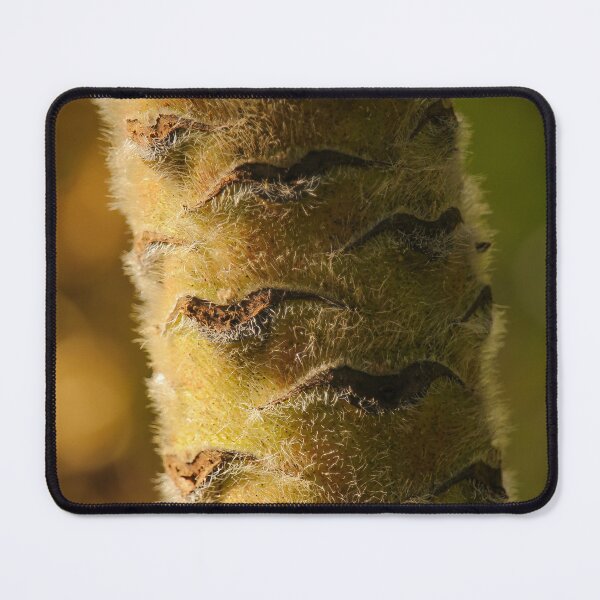 Item preview, Plant Stem Vertical Bokeh Nature Lovers designed and sold by eddiebarronshop.