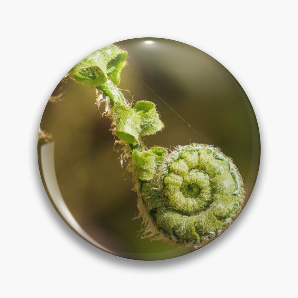 Artikelvorschau, Fiddlehead eines Weihnachtsfarns entworfen und verkauft von TinyDinoDesigns.