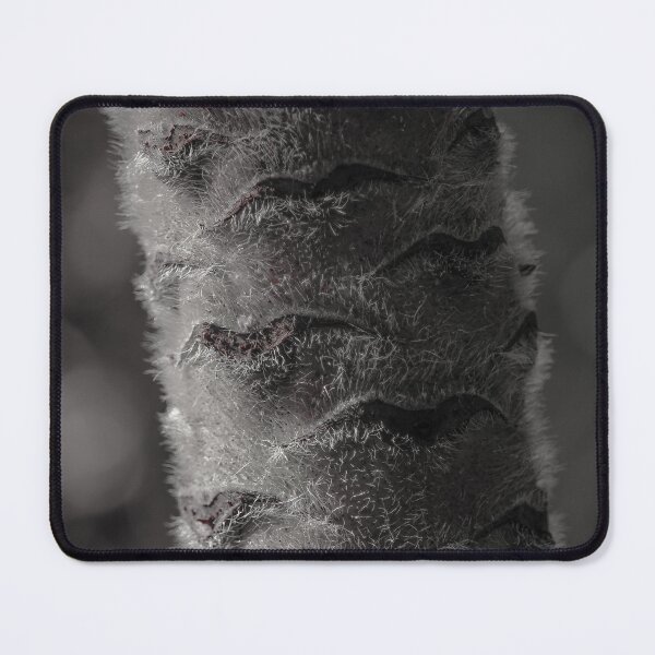 Item preview, Plant Stem Black and White Vertical Bokeh Nature Beauty designed and sold by eddiebarronshop.