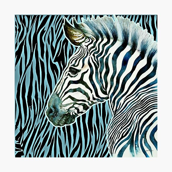 Zebra - stripes Photographic Print