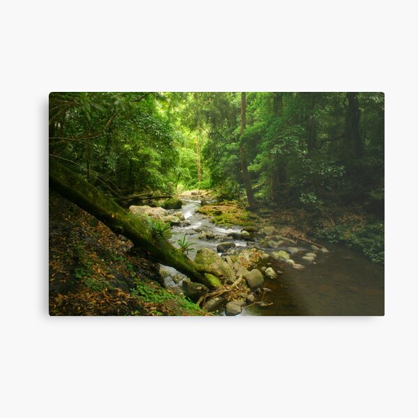 Lamington Dream Metal Print