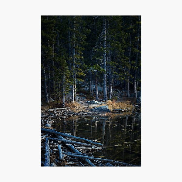 Item preview, Dusk Nymph Lake RMNP designed and sold by johnny gomez.