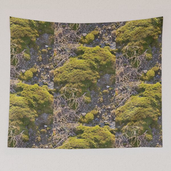 Item preview, Golden Hour moss  designed and sold by etherealwonders.