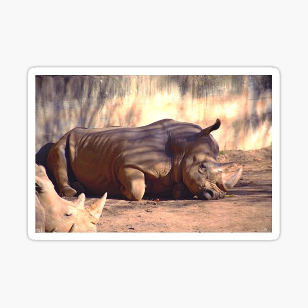 Item preview, White Rhinoceros designed and sold by LisaWootenPhoto.