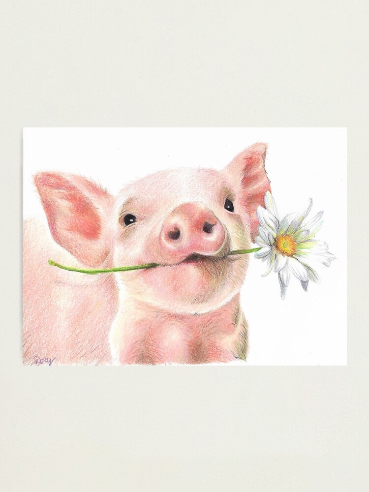Little Cow Eating Daisy Art Print Home Decor Wall Art Poster C