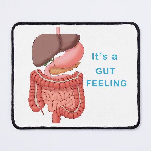 Item preview, It's a Gut Feeling Digestive System Illustration designed and sold by ScienceSource.