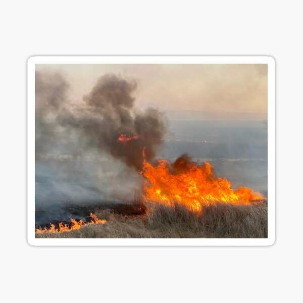 Fireline in grass Sticker