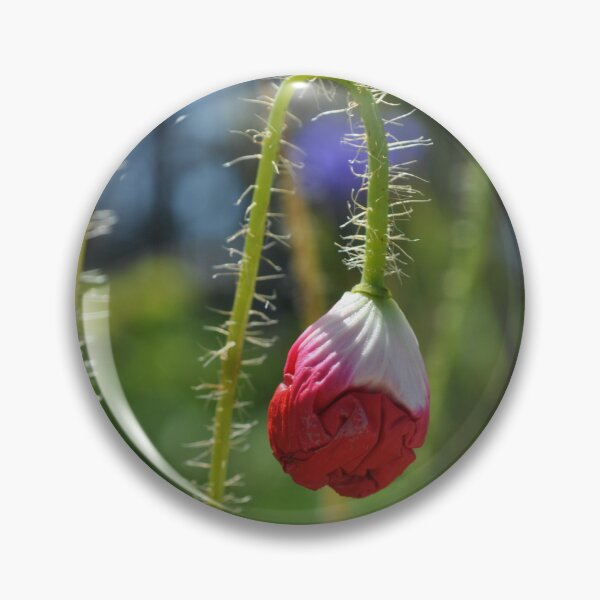 Item preview, Poppy bud designed and sold by JudyHaley.