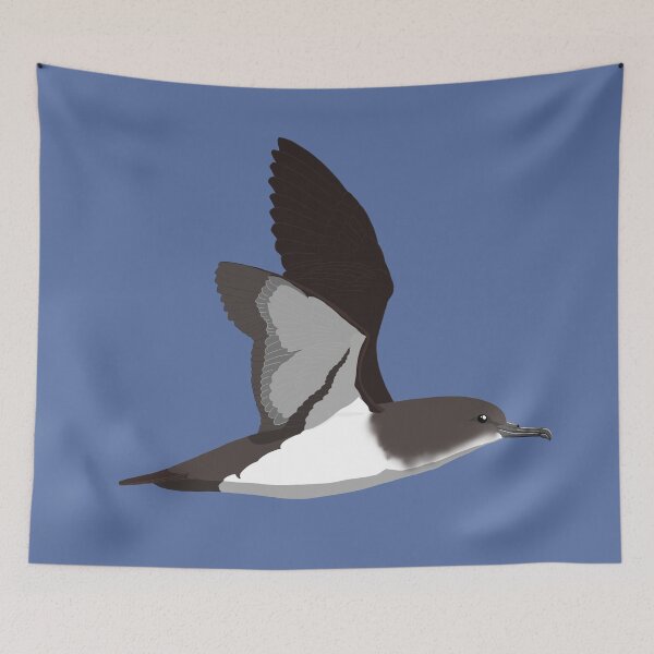 Item preview, Black-vented Shearwater designed and sold by BennuBirdy.