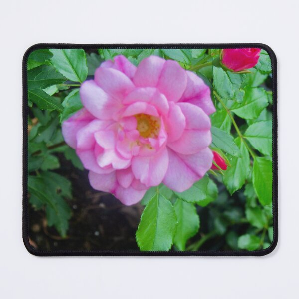 Item preview, Perfect Pink Rose designed and sold by Shulie1.