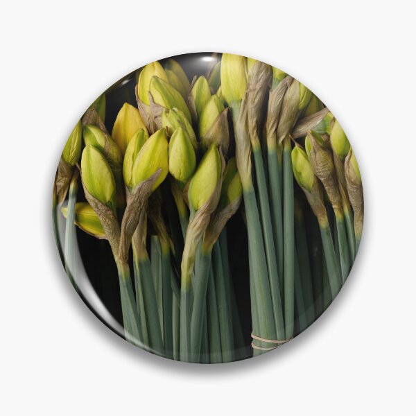 Artikelvorschau, Narcissus flower entworfen und verkauft von DejanVuk.