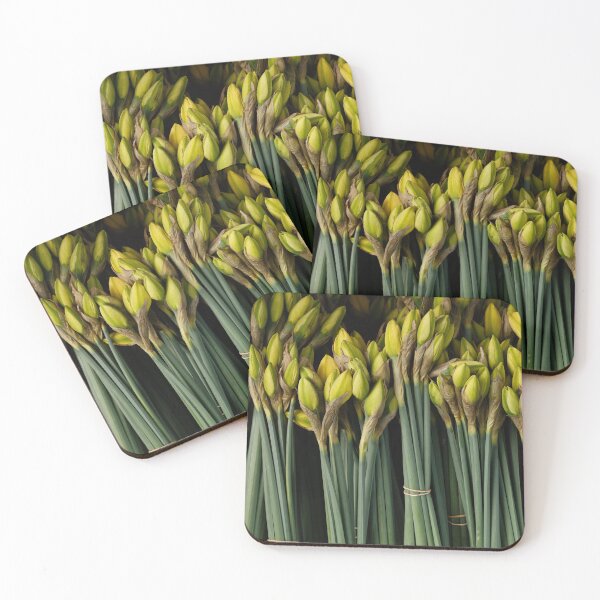 Item preview, Narcissus flower designed and sold by DejanVuk.