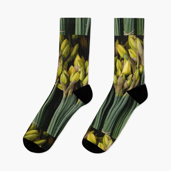 Item preview, Narcissus flower designed and sold by DejanVuk.