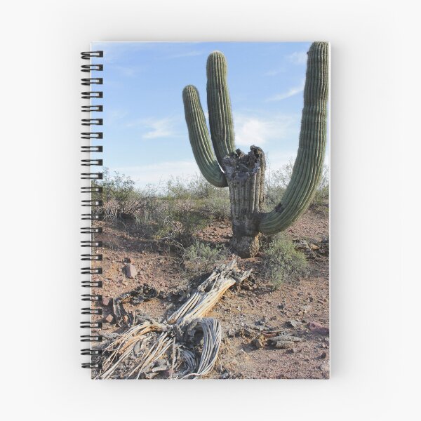 Item preview, Sunbleached Ribs of Sonoran Desert Saguaro Survivor designed and sold by outdoorstudio.
