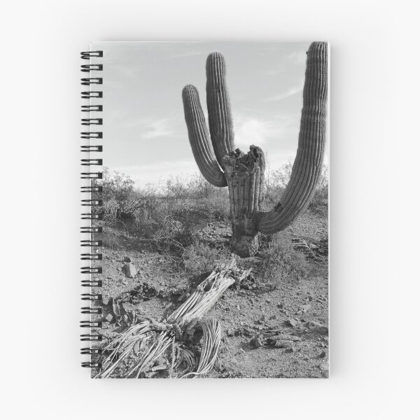 Item preview, Sunbleached Ribs of Sonoran Desert Saguaro Survivor designed and sold by outdoorstudio.
