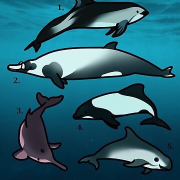 Artwork thumbnail, dolphins of South America by moobloom