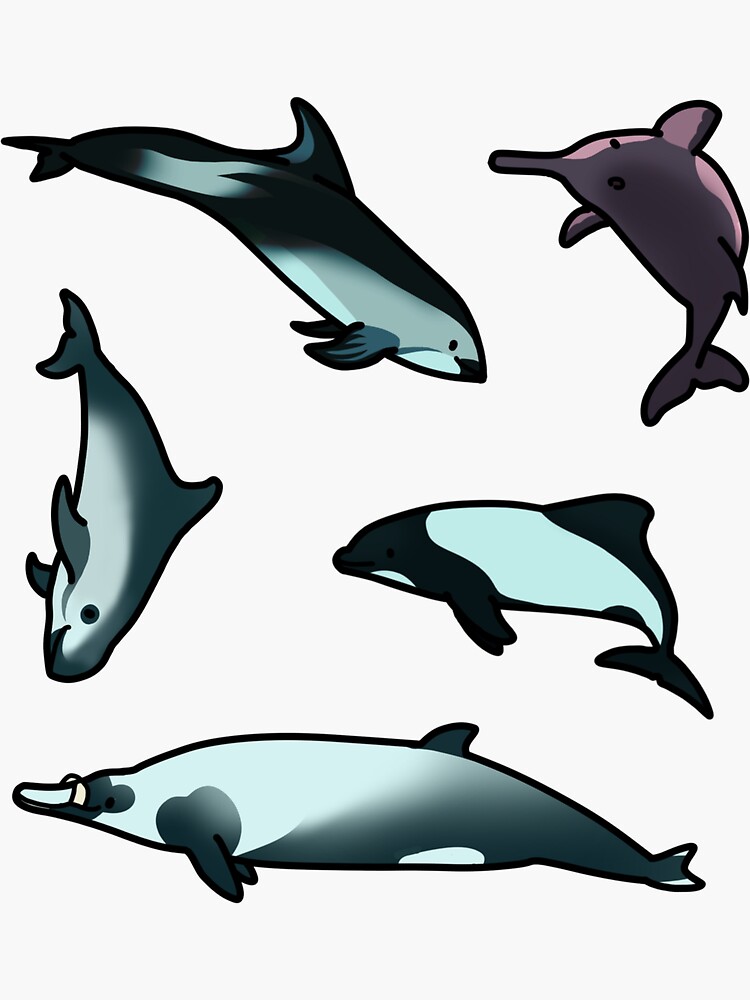 Thumbnail 3 of 3, Sticker, dolphins of South America designed and sold by moobloom.