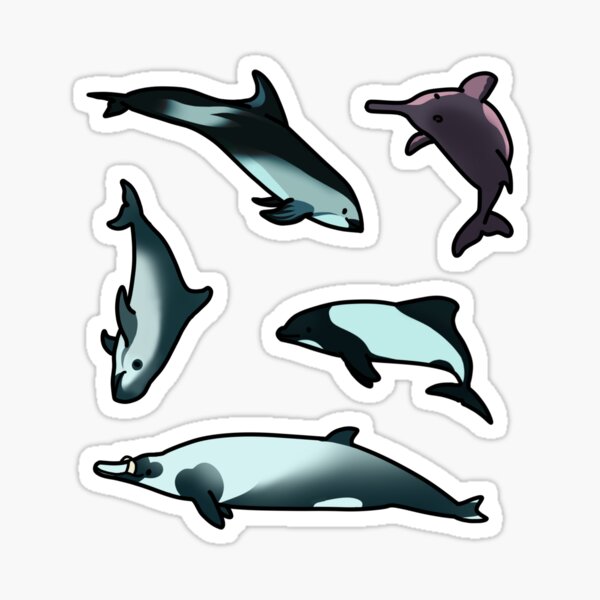dolphins of South America Sticker
