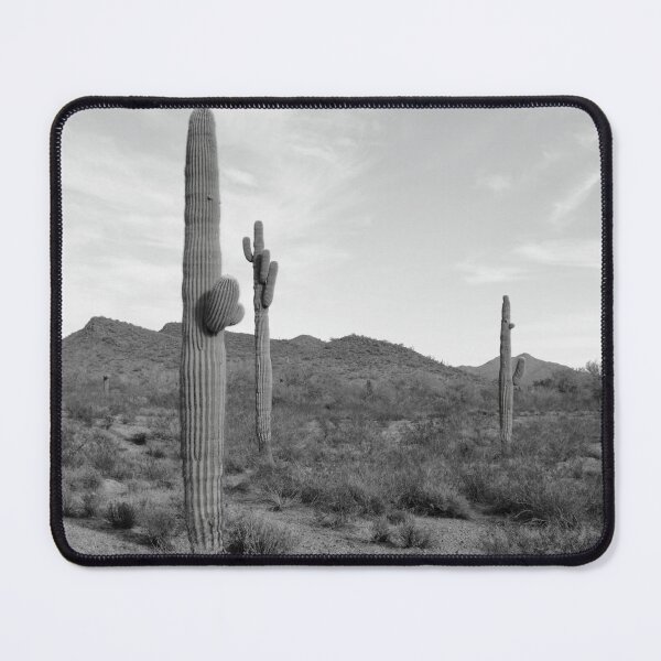 Item preview, Sonoran Desert Saguaro Sentinels - Carnegia gigantica designed and sold by outdoorstudio.