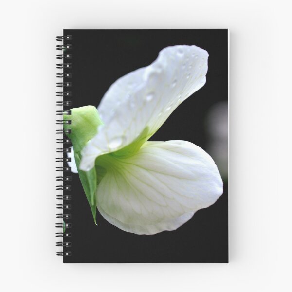 Item preview, Flor de guisante designed and sold by JudyHaley.