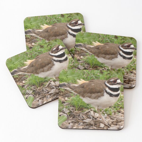 Item preview, Killdeer Bird designed and sold by Andie Janik.