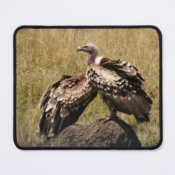 Item preview, Vultures designed and sold by Andie Janik.