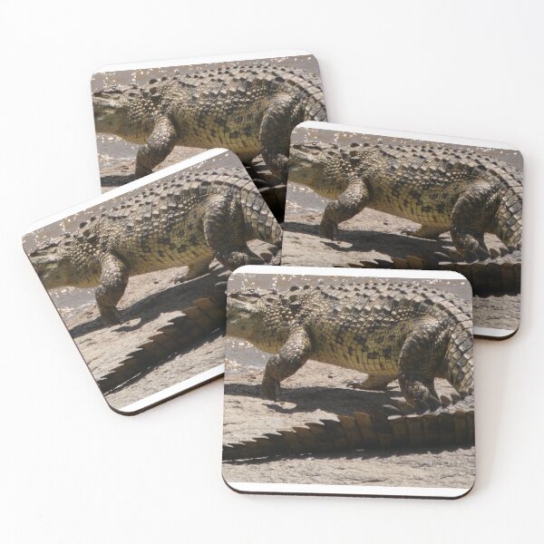 Item preview, Crocodile designed and sold by Andie Janik.