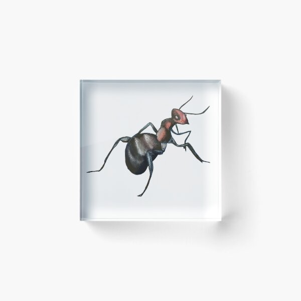Item preview, odorous ant  designed and sold by Allison Campbell.
