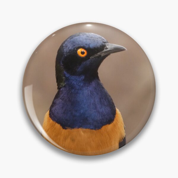 Item preview, Hildebrant's Starling designed and sold by Andie Janik.