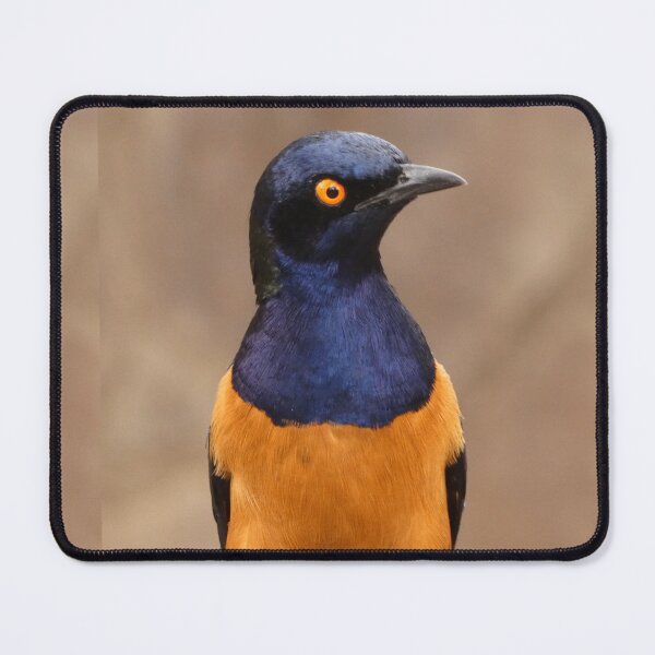Item preview, Hildebrant's Starling designed and sold by Andie Janik.