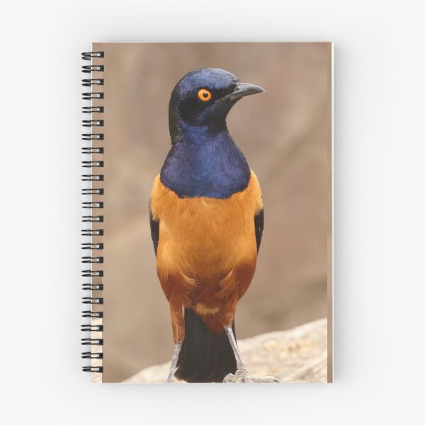 Item preview, Hildebrant's Starling designed and sold by Andie Janik.