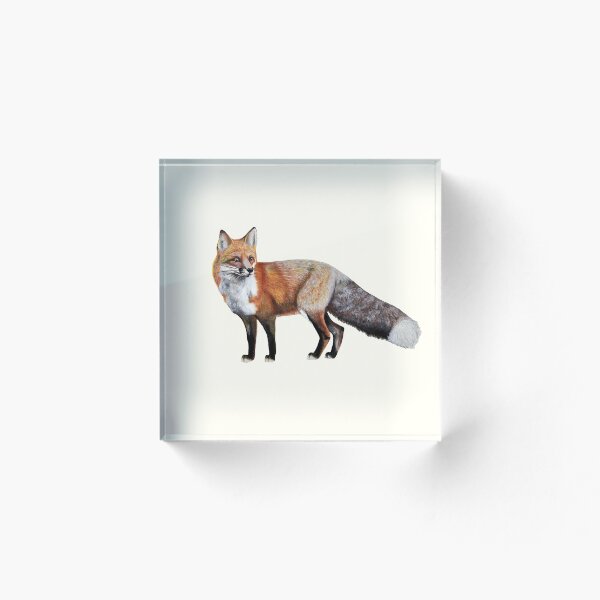 Item preview, Foxy designed and sold by JaraM.