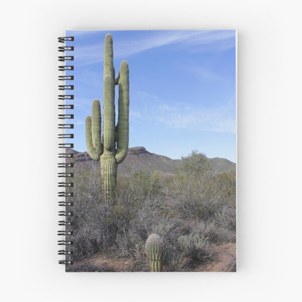 Item preview, Young  and Ancient Saguaro Sentinels - Carnegia gigantica designed and sold by outdoorstudio.