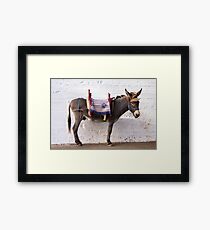 Funny donkey Framed Print